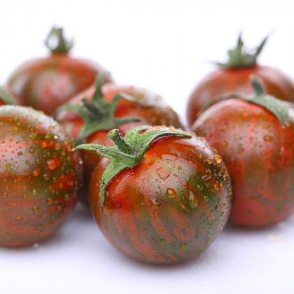 Rajče Tigrino - Solanum lycopersicum - osivo rajčat - 25 ks