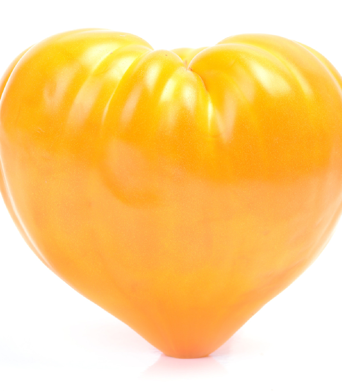 Rajče Oxheart Orange - Solanum lycopersicum - osivo rajčat - 10 ks