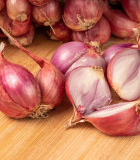 Cibule šalotka Sante - Allium cepa - cibulky šalotky - 500 g