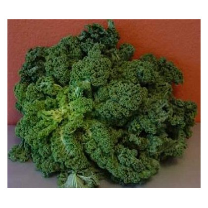 Kadeřávek zimní zelený - Brassica oleracea L. - osivo kadeřávku - 0,5 g