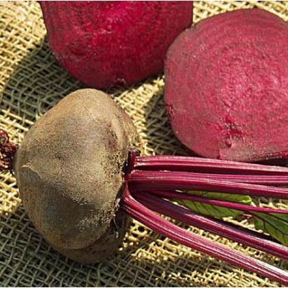 Řepa salátová tmavě červená - Beta vulgaris L. - osivo řepy - 1 g