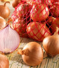 Cibule šalotka Red Sun - Allium cepa - cibule sazečky - 500 g