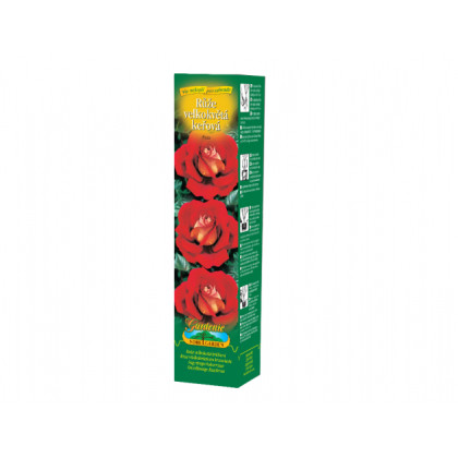 Růže velkokvětá červenožlutá - Rosa - prostokořenná sazenice růže - 1 ks
