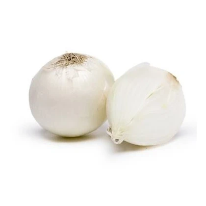 Cibule jarní bílá - Allium cepa - osivo cibule - 250 ks