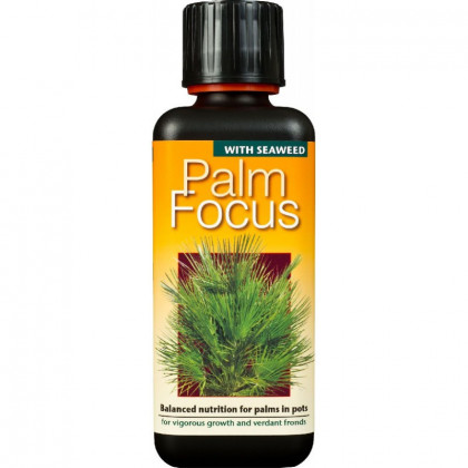 Hnojivo pro palmy - Palm focus - 300 ml