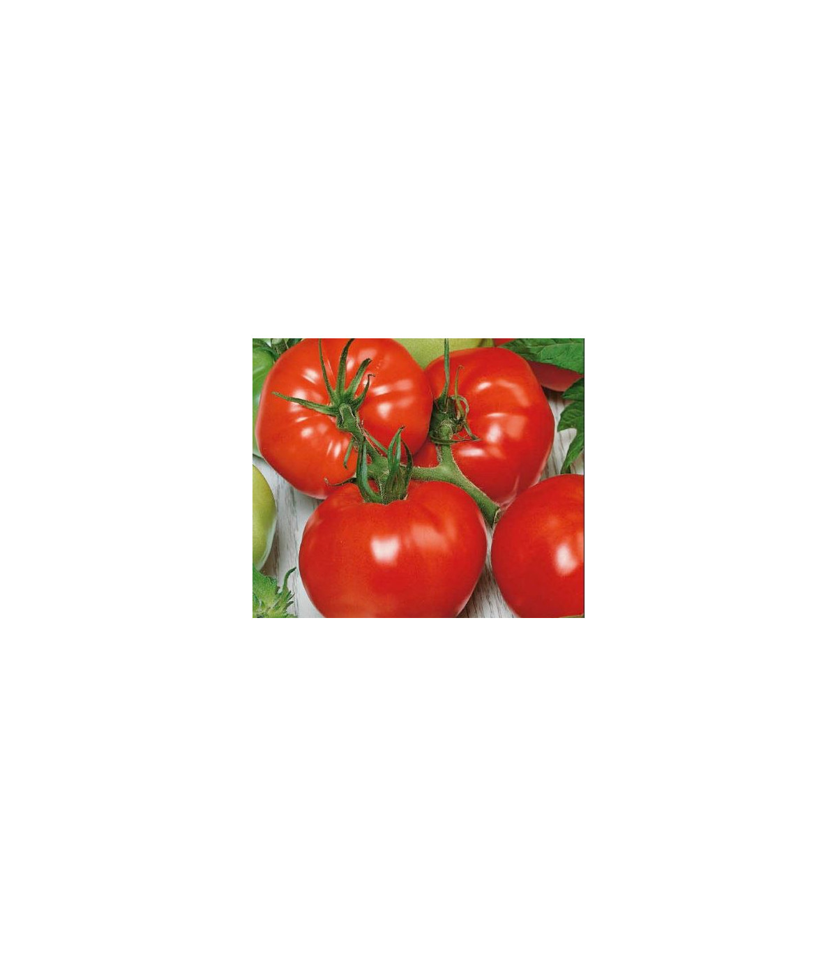 Rajče polní zakrslé Saint Pierre - Lycopersicon esculentum - osivo rajčat -15 ks