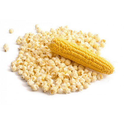 Kukuřice pukancová F1 - Zea mays - osivo kukuřice - 15 ks