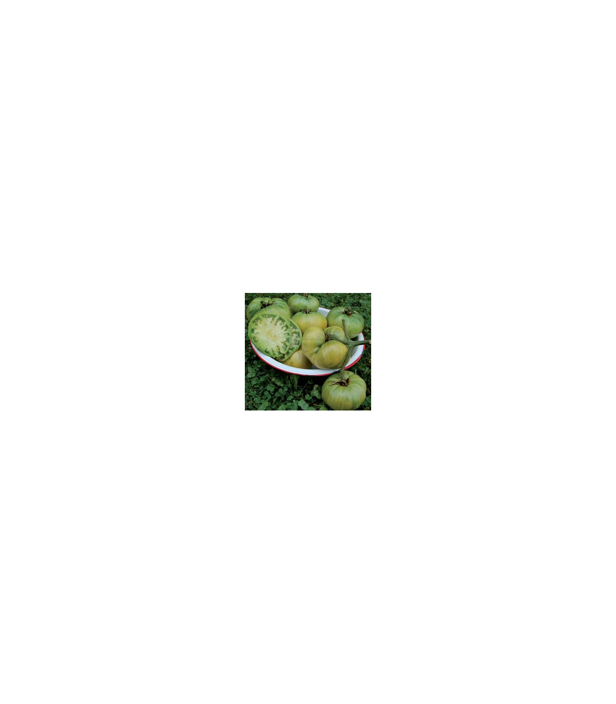 Rajče Teta - Lycopersicon esculentum - osivo rajčat - 6 ks