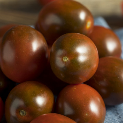 Rajče Brown Berry - Solanum lycopersicum - osivo rajčat - 7 ks