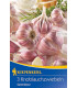 Sadbový česnek Germidour - nepaličák - Allium sativum - cibulky česneku - 1 balení