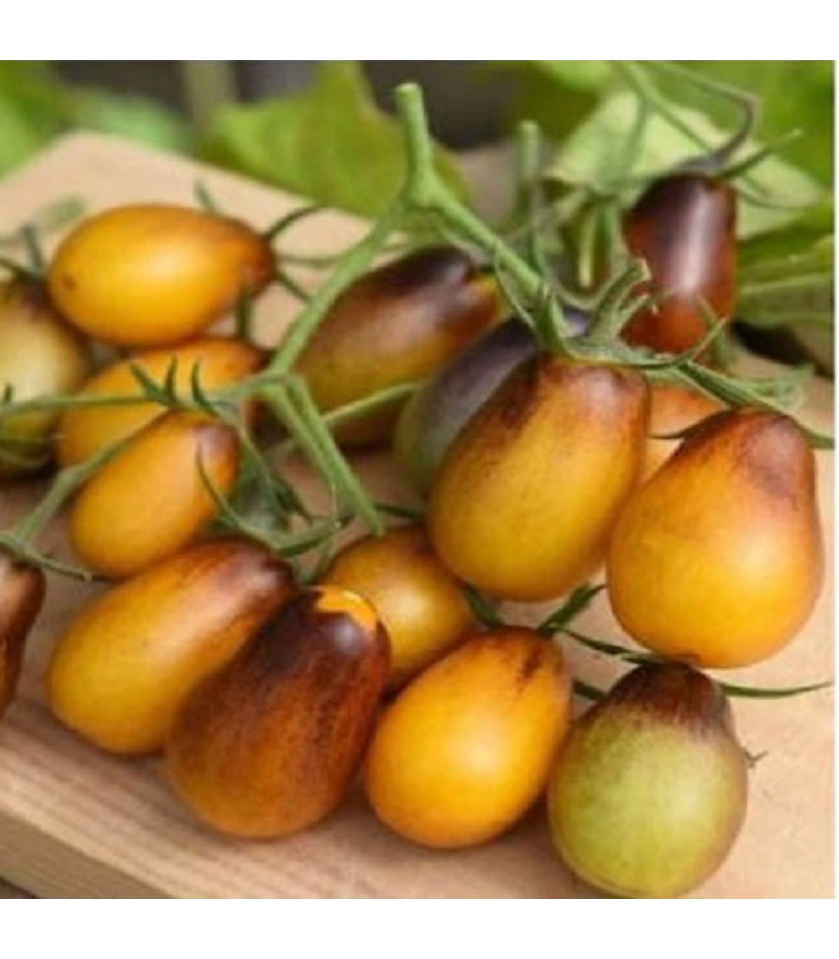 Rajče Indigo Pear Drops - Solanum lycopersicum - osivo rajčat - 5 ks