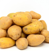 Sadbové brambory Sunshine - Solanum tuberosum - sadba - 5 kg