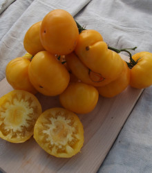Rajče Yellowstone - Solanum lycopersicum - osivo rajčat - 15 ks