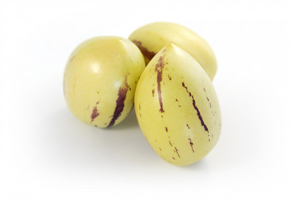 Pepino Gold – exotická trvalka s chutnými plody