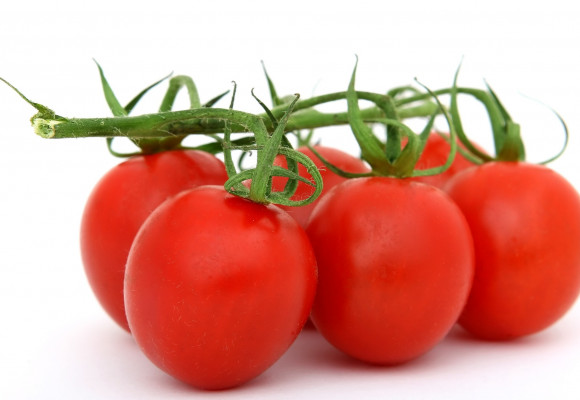 Pěstujete rajčata? Jak se o ně v letních měsících správně starat?