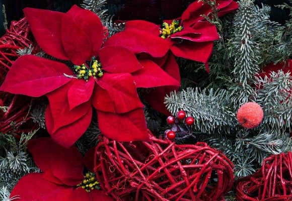 Znáte tradiční vánoční symboly?