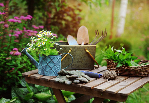 Zahradnice a zahradníci si dovolenou vzít nemohou, přinášíme červencové tipy pro péči o zahradu